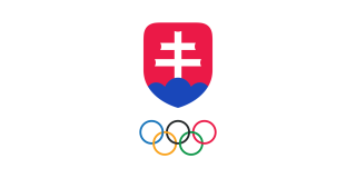 202107062207030.logo-sosv-dobra-kvalita
